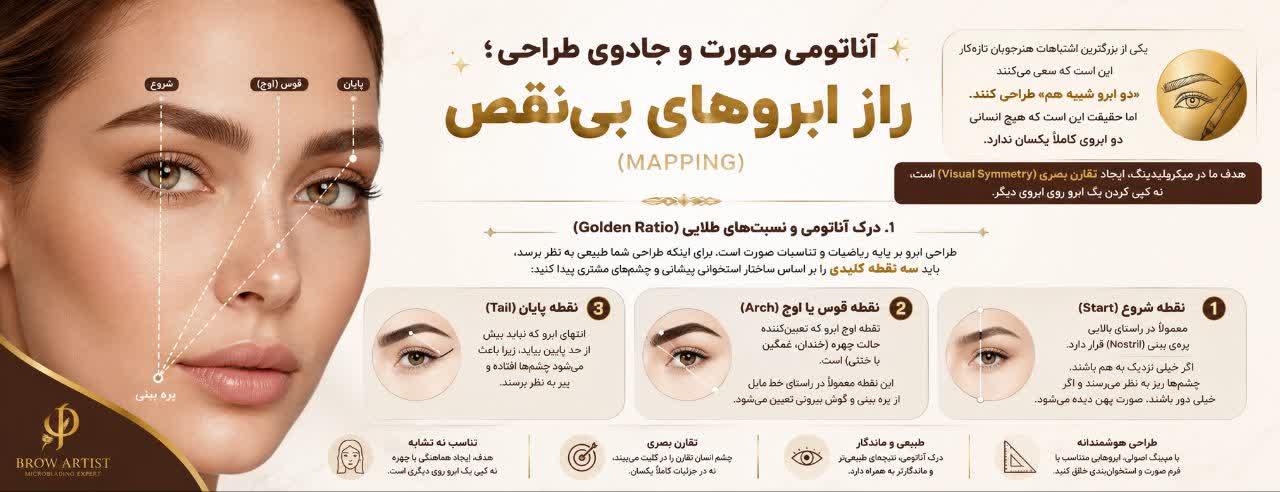 آناتومی صورت و جادوی طراحی؛ راز ابروهای بی‌نقص (Mapping)